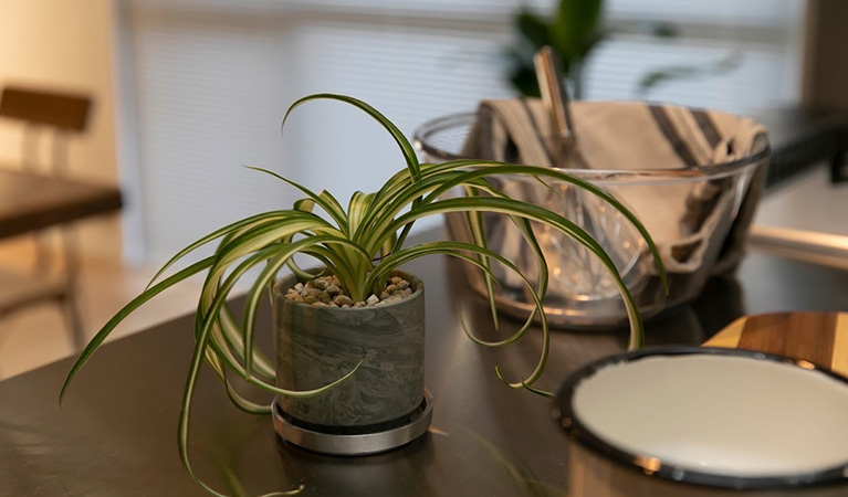 レンタルグリーン