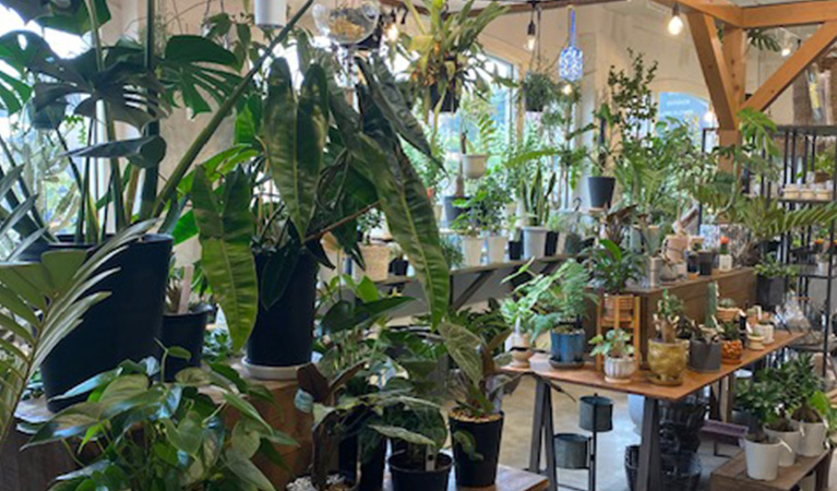 観葉植物とガーデン雑貨