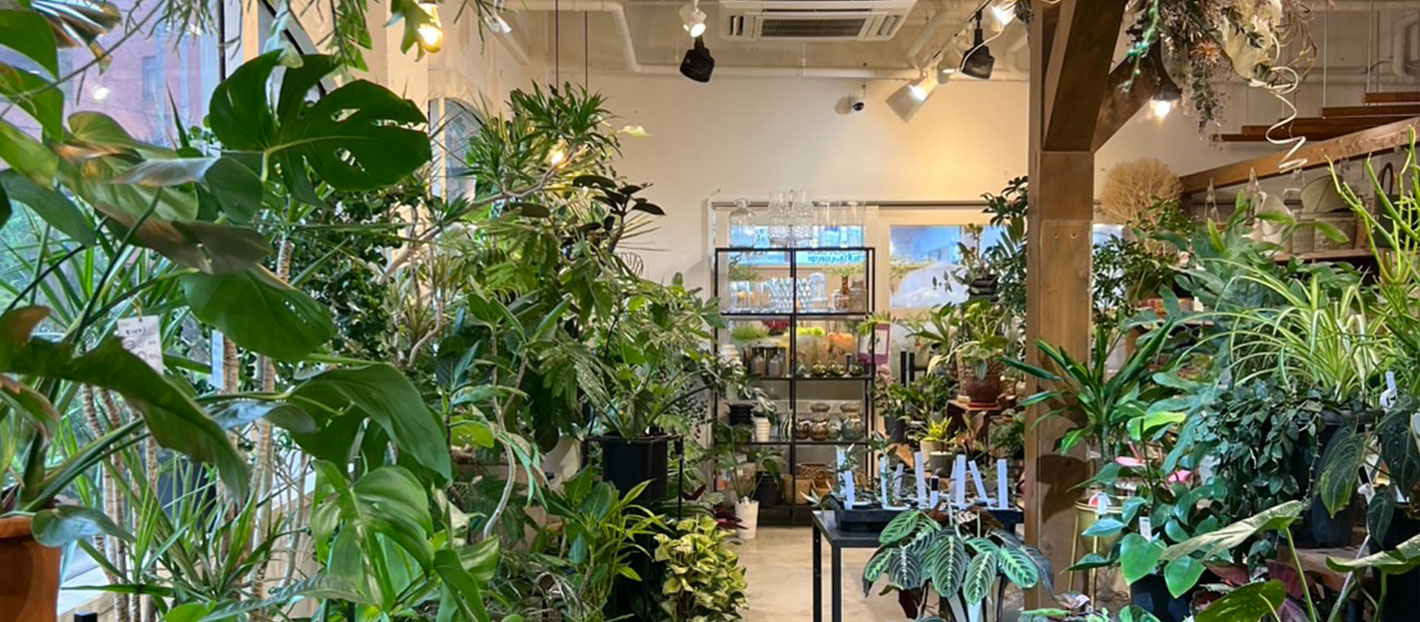 GABA店頭
