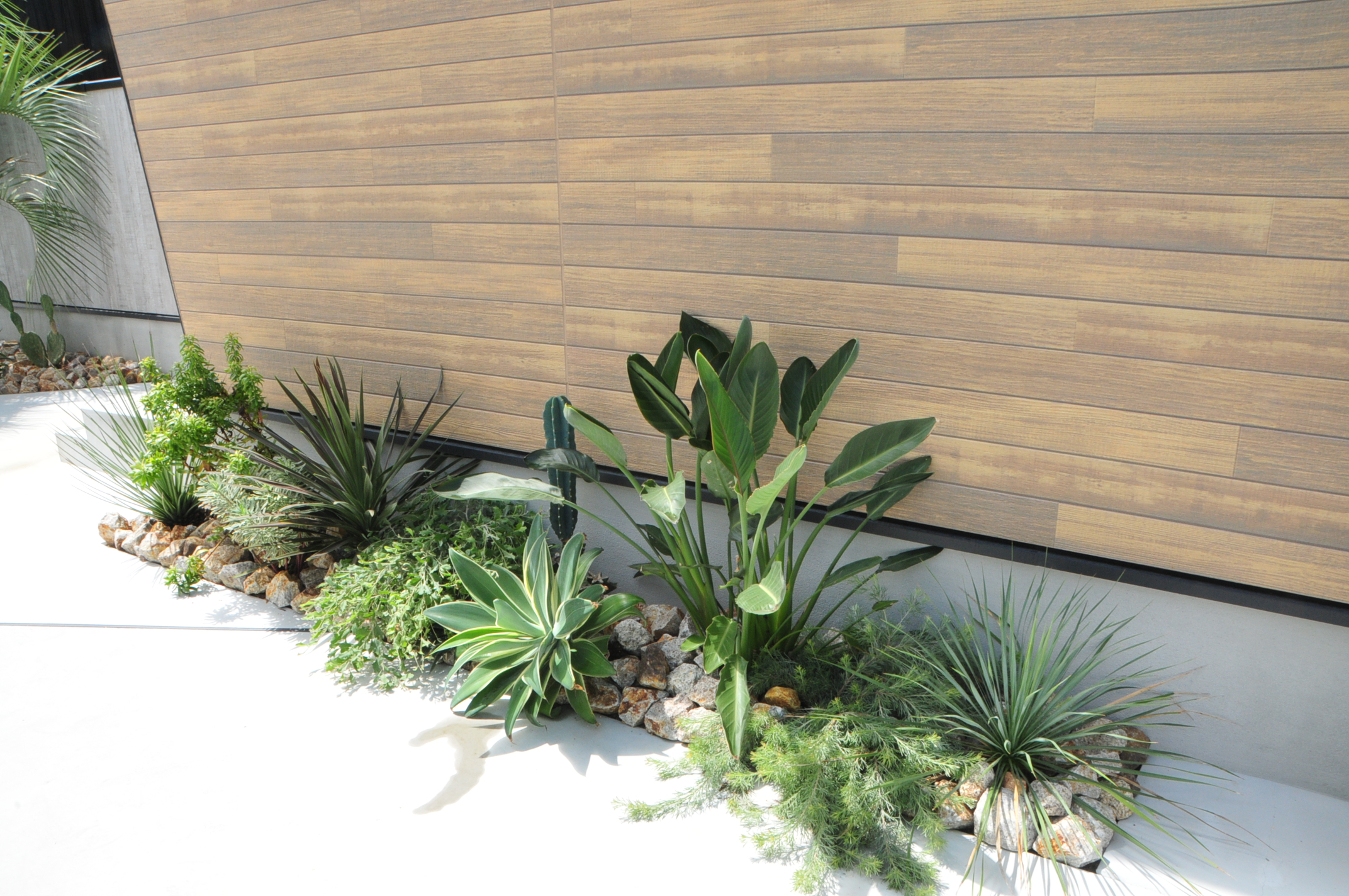 植栽メンテナンス Gallery