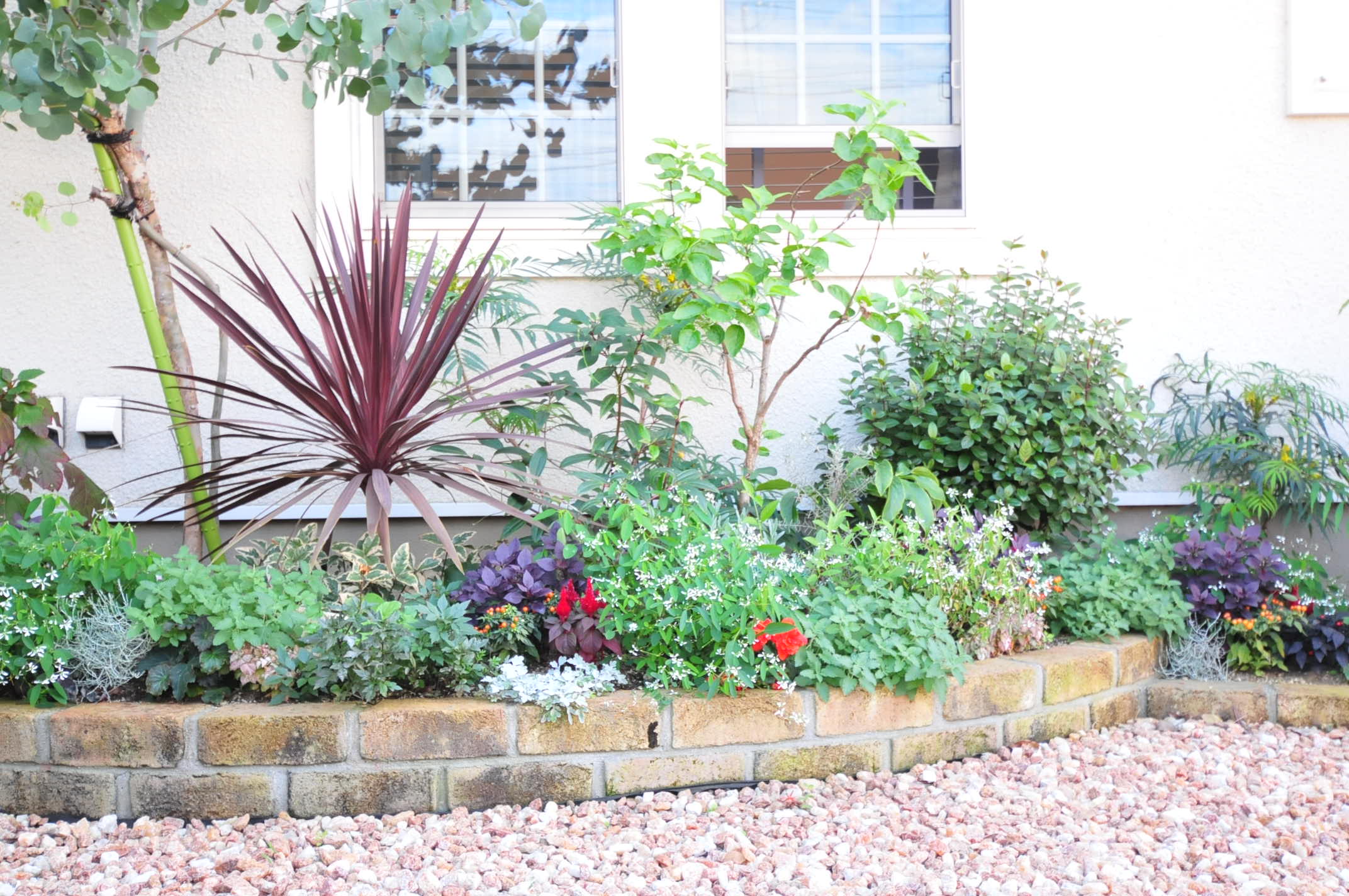 植栽メンテナンス Gallery