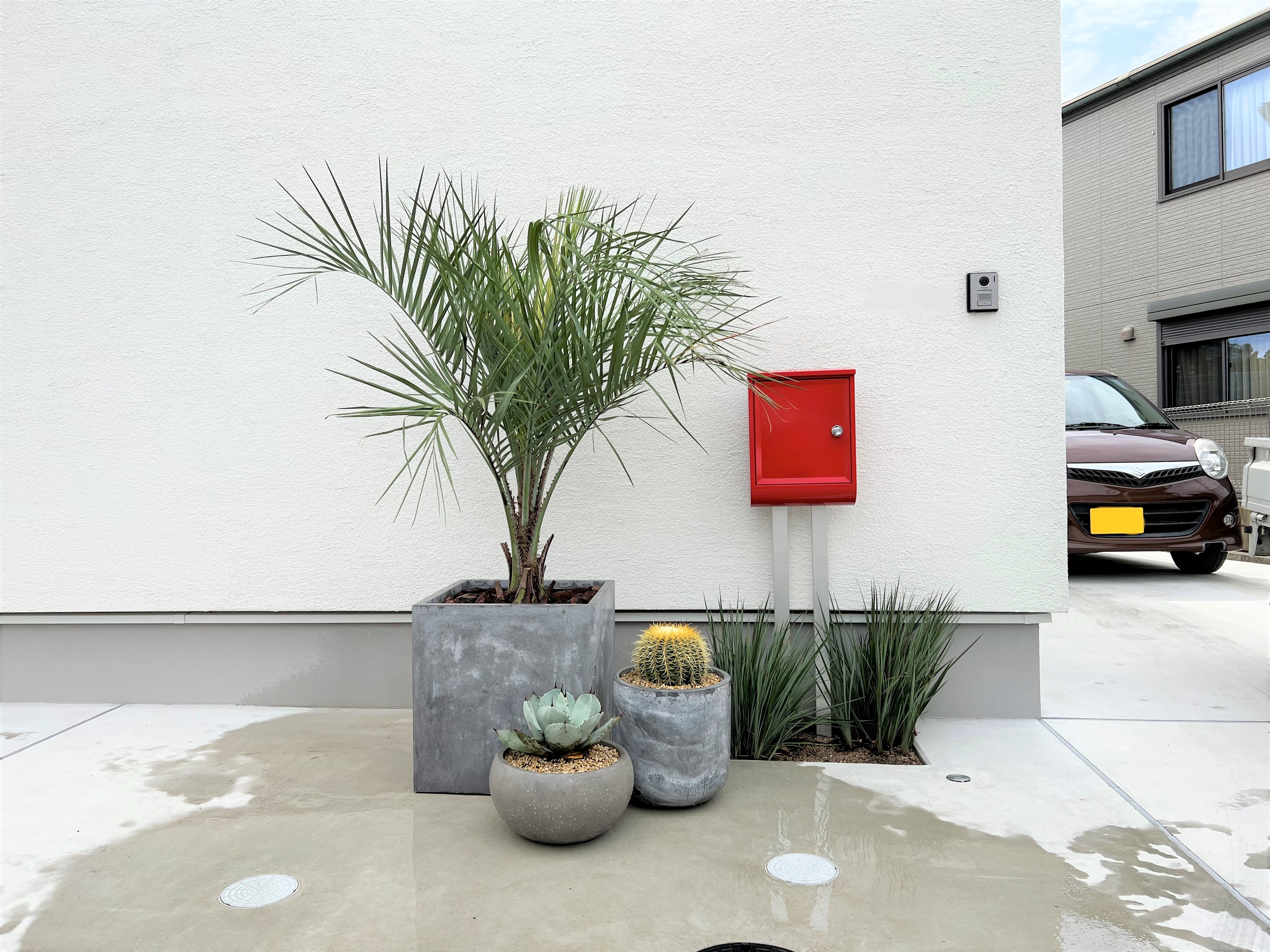 姫路市 鉢植えで管理できるシンプルかっこいい植栽