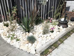 ドライガーデン