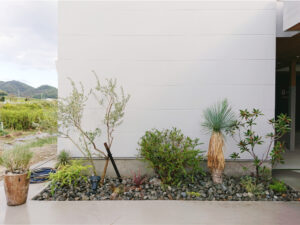 花壇への植栽（ロックガーデン）